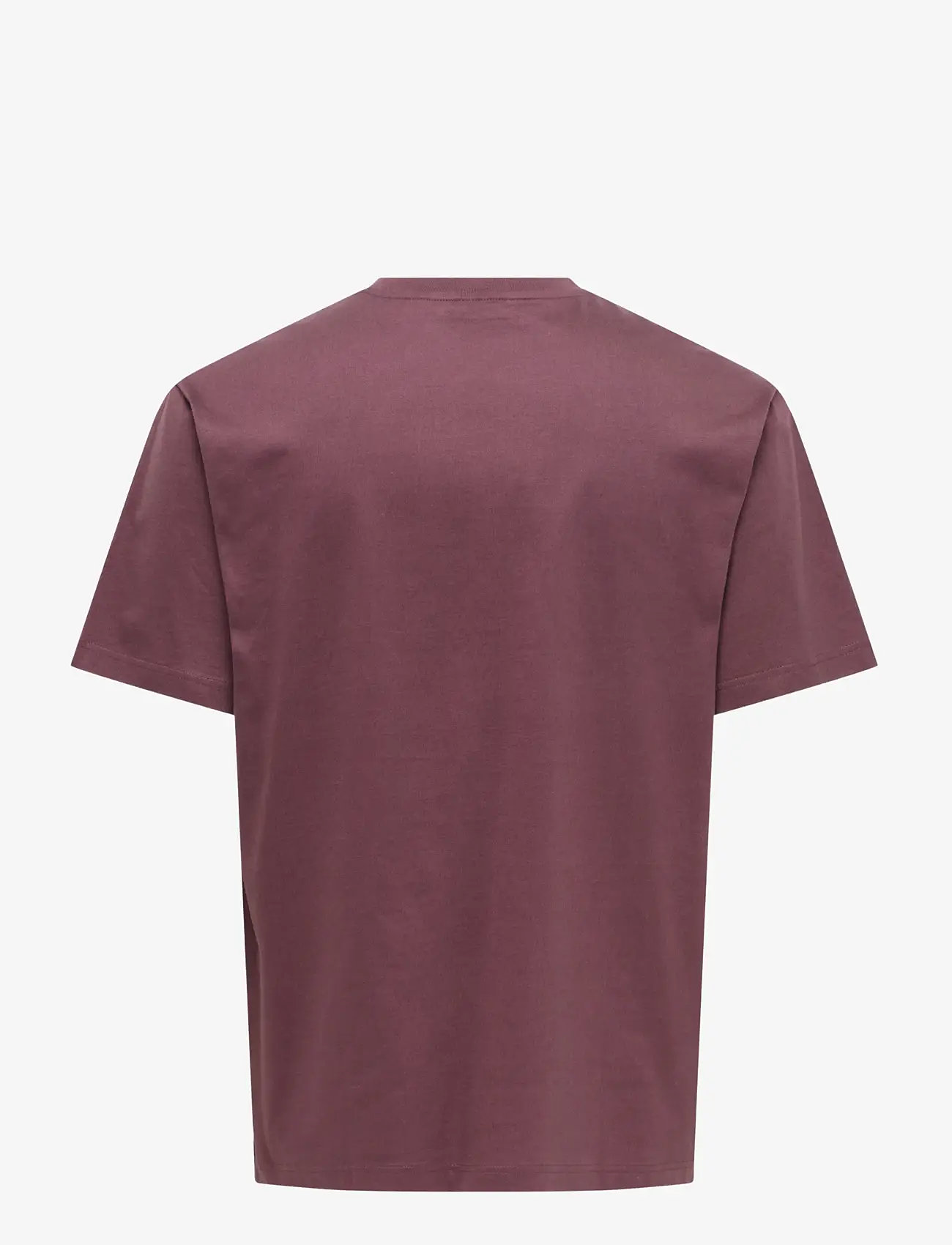 ONLY & SONS - ONSFRED LIFE RLX SS TEE NOOS - lühikeste varrukatega t-särgid - huckleberry - 2
