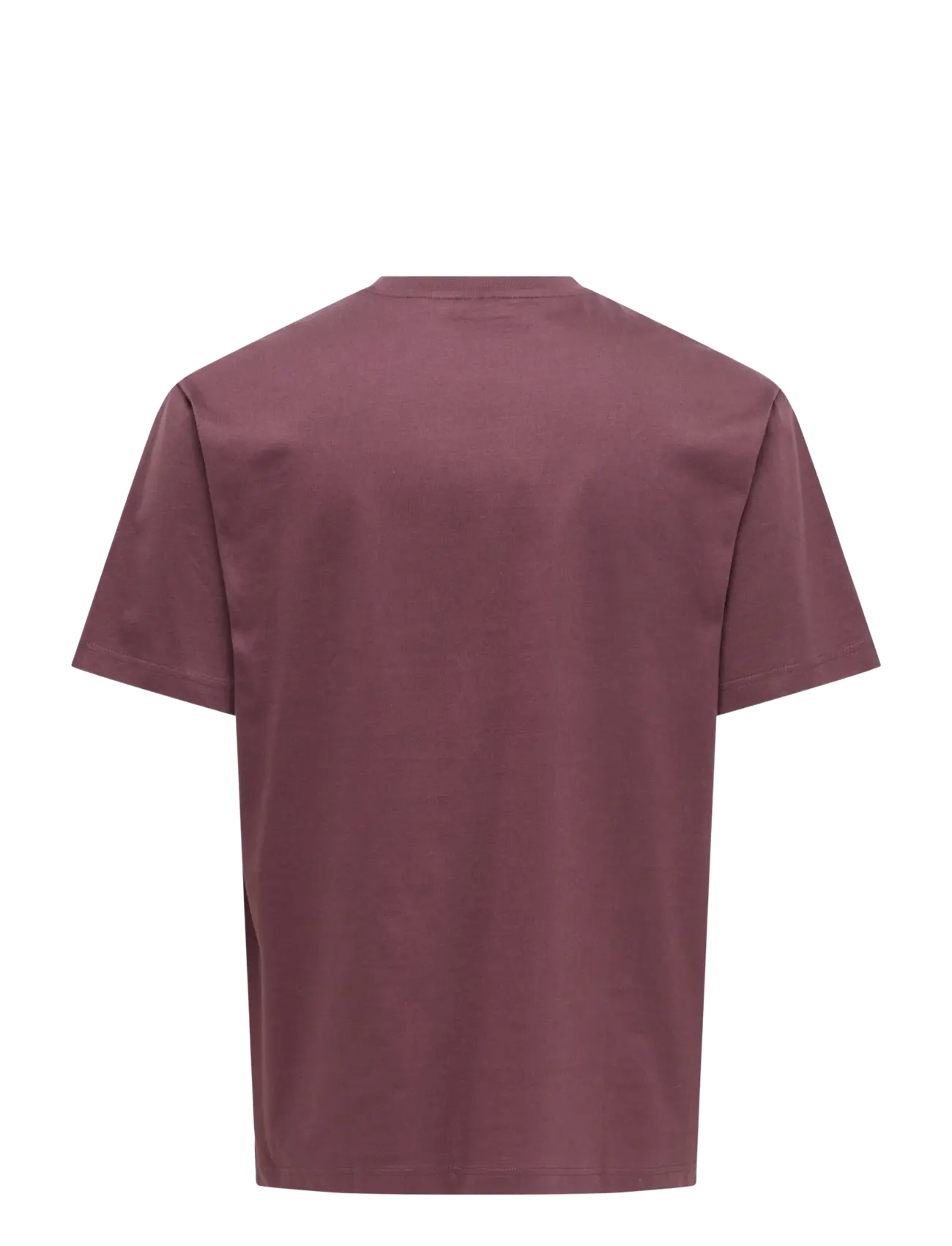 ONLY & SONS - ONSFRED LIFE RLX SS TEE NOOS - lühikeste varrukatega t-särgid - huckleberry - 2