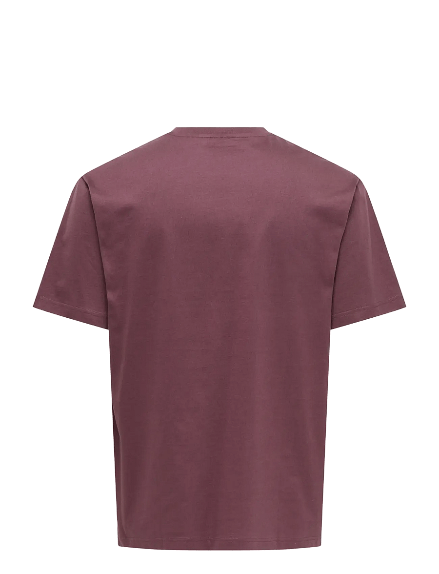 ONLY & SONS - ONSFRED LIFE RLX SS TEE NOOS - kortærmede t-shirts - huckleberry - 2