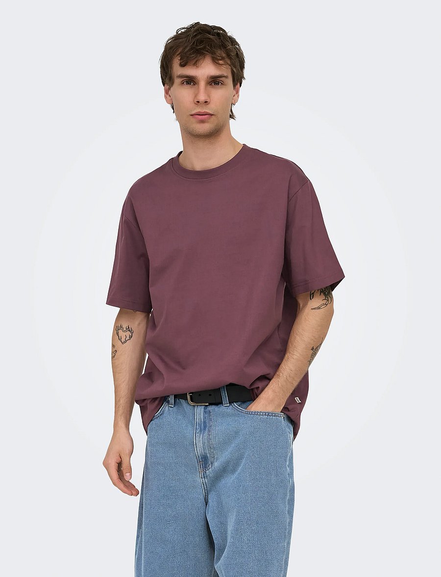 ONLY & SONS - ONSFRED LIFE RLX SS TEE NOOS - kortærmede t-shirts - huckleberry - 0