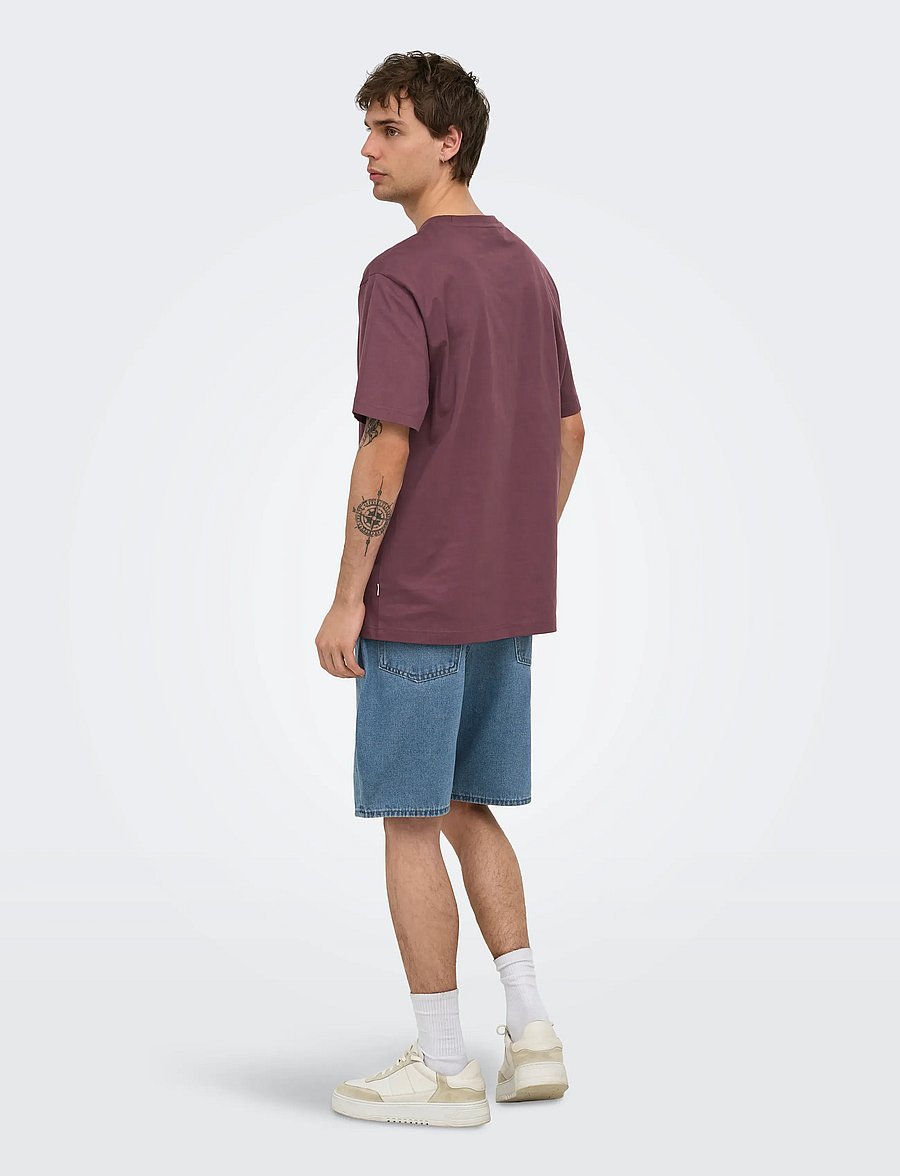 ONLY & SONS - ONSFRED LIFE RLX SS TEE NOOS - kortærmede t-shirts - huckleberry - 3