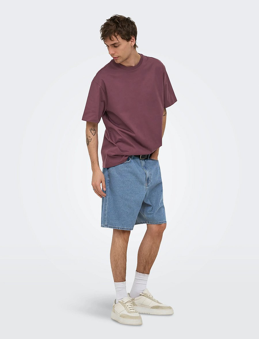 ONLY & SONS - ONSFRED LIFE RLX SS TEE NOOS - kortærmede t-shirts - huckleberry - 4