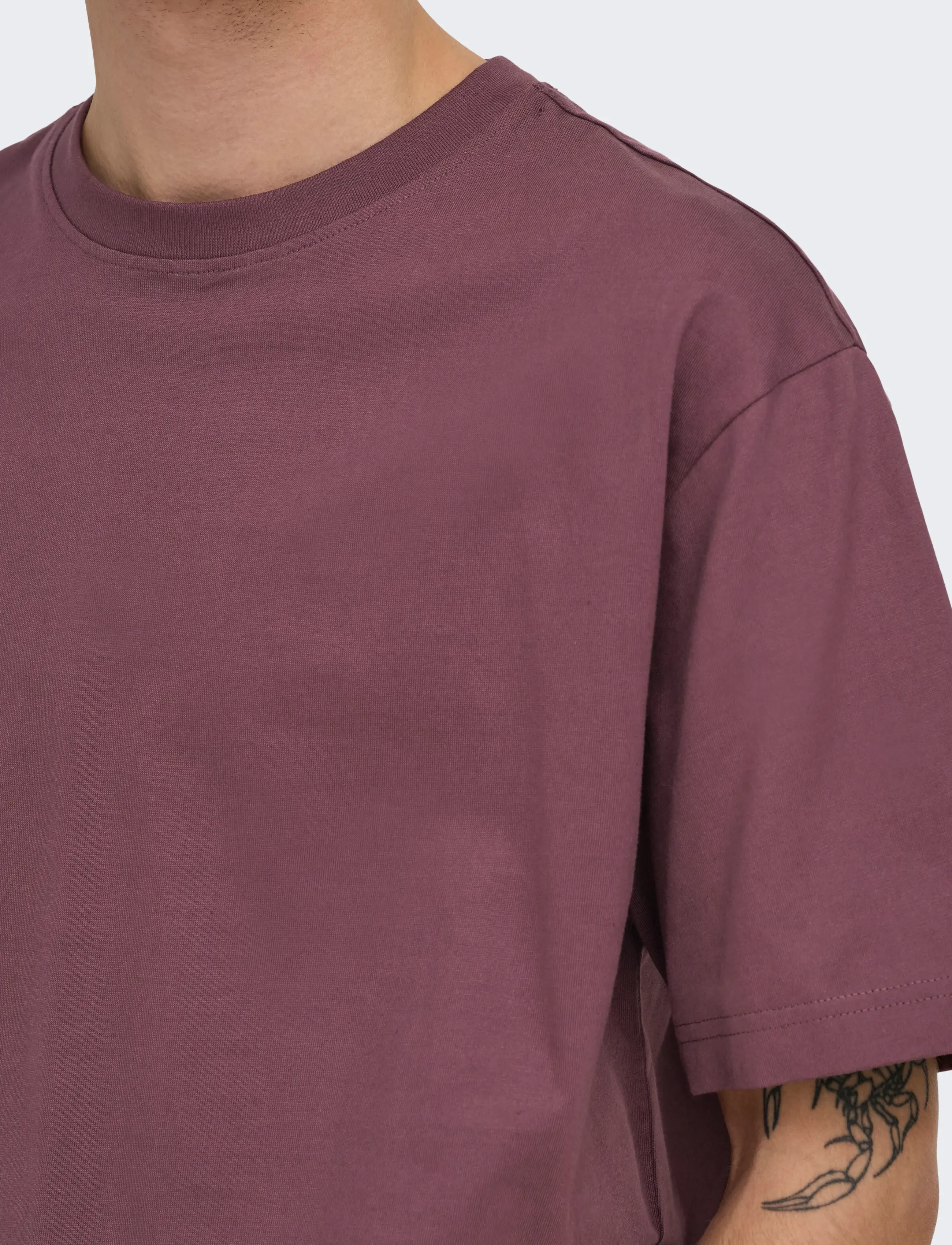 ONLY & SONS - ONSFRED LIFE RLX SS TEE NOOS - lühikeste varrukatega t-särgid - huckleberry - 5