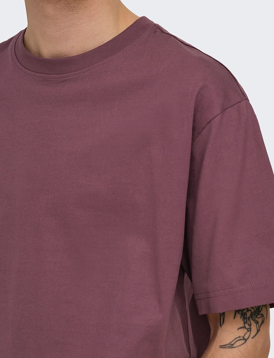 ONLY & SONS - ONSFRED LIFE RLX SS TEE NOOS - kortærmede t-shirts - huckleberry - 5