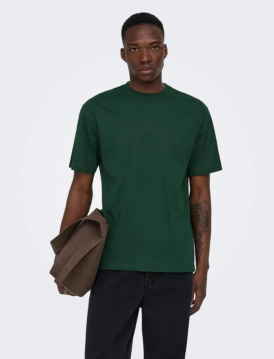 ONLY & SONS - ONSFRED LIFE RLX SS TEE NOOS - lühikeste varrukatega t-särgid - pine grove - 0