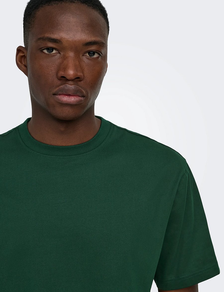 ONLY & SONS - ONSFRED LIFE RLX SS TEE NOOS - lühikeste varrukatega t-särgid - pine grove - 5