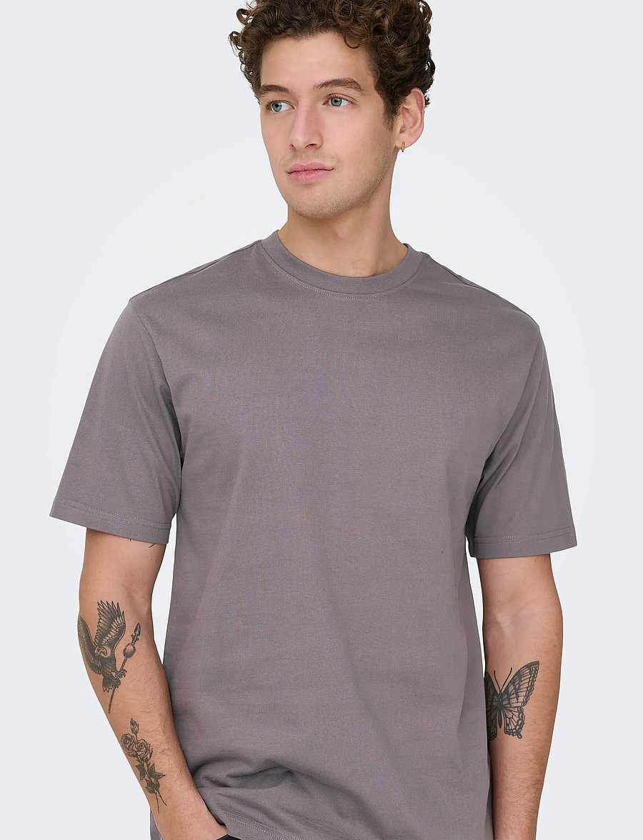 ONLY & SONS - ONSFRED LIFE RLX SS TEE NOOS - lühikeste varrukatega t-särgid - rabbit - 4