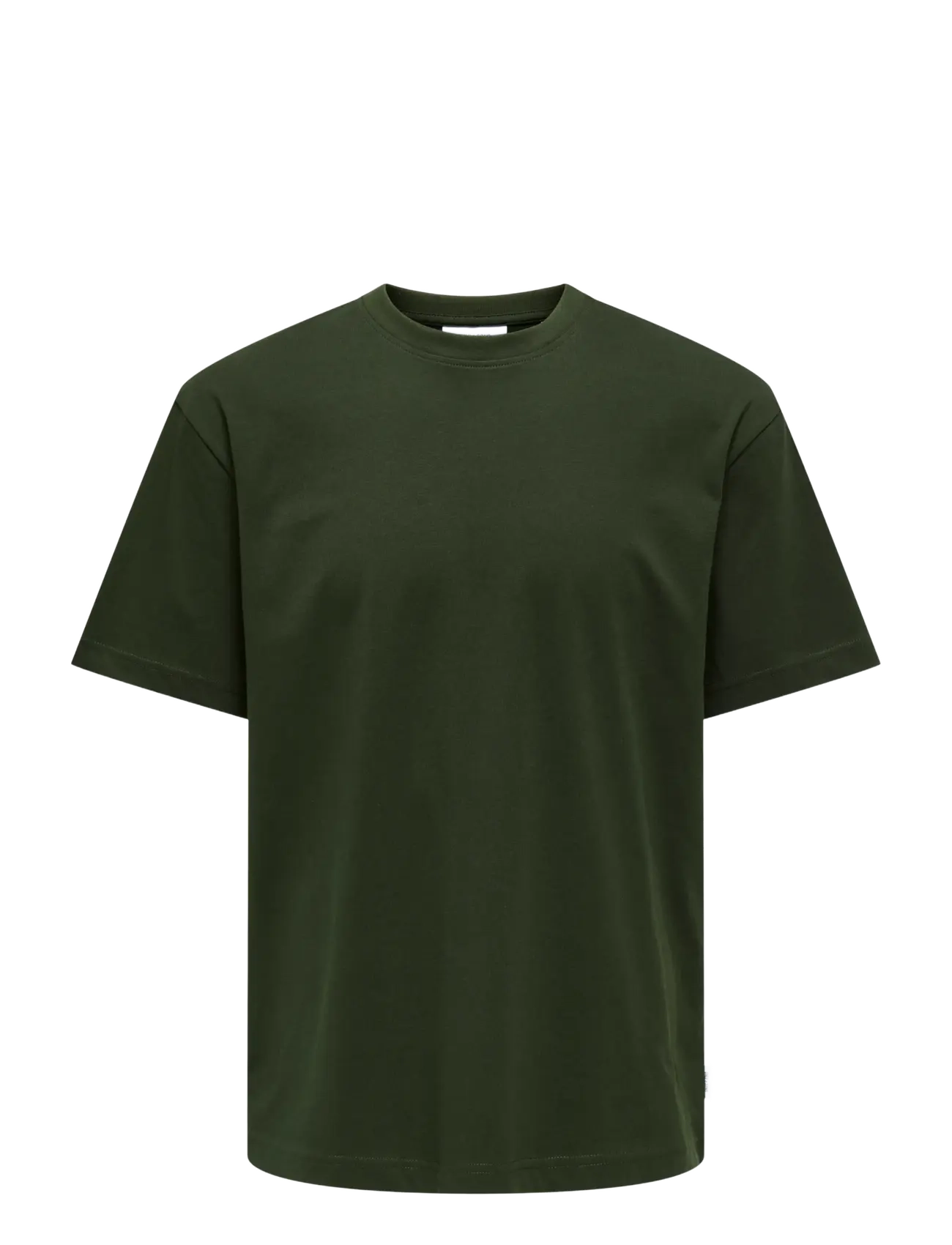 ONLY & SONS ONSFRED LIFE RLX SS TEE NOOS - T-särgid - ROSIN / green