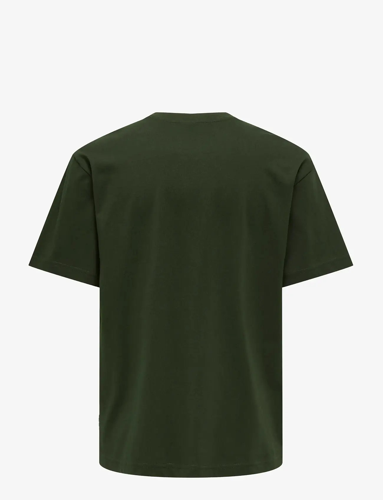 ONLY & SONS - ONSFRED LIFE RLX SS TEE NOOS - kortärmade t-shirts - rosin - 2