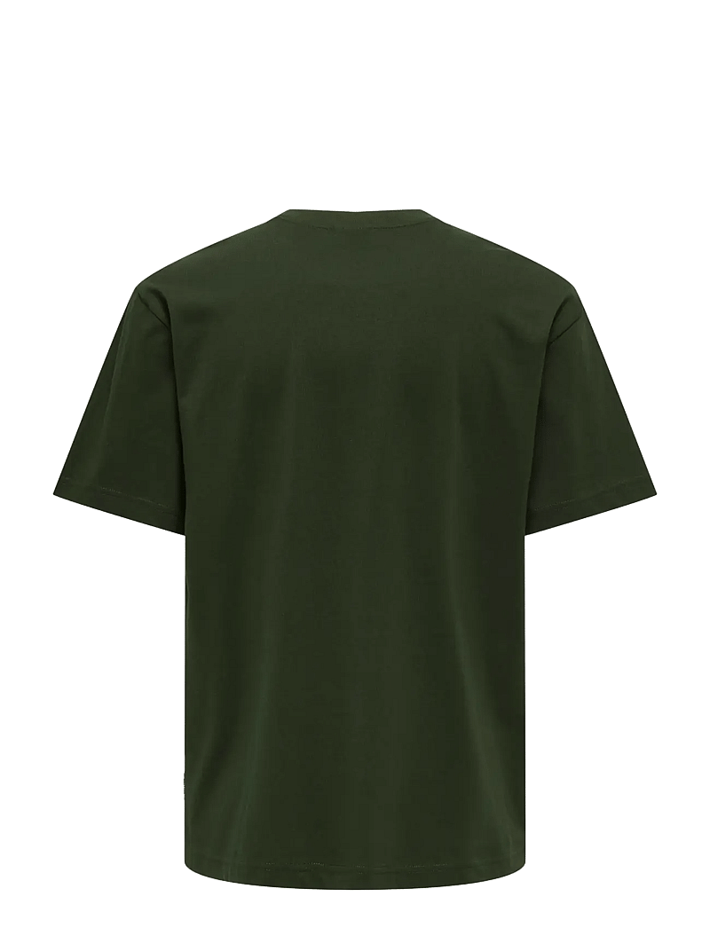 ONLY & SONS - ONSFRED LIFE RLX SS TEE NOOS - kortärmade t-shirts - rosin - 2