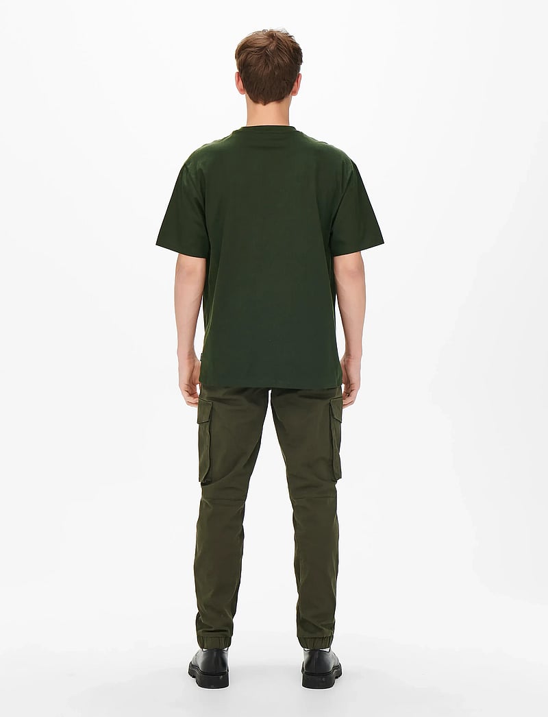 ONLY & SONS - ONSFRED LIFE RLX SS TEE NOOS - kortärmade t-shirts - rosin - 3