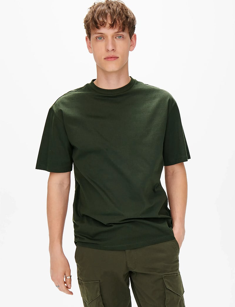 ONLY & SONS - ONSFRED LIFE RLX SS TEE NOOS - kortärmade t-shirts - rosin - 5