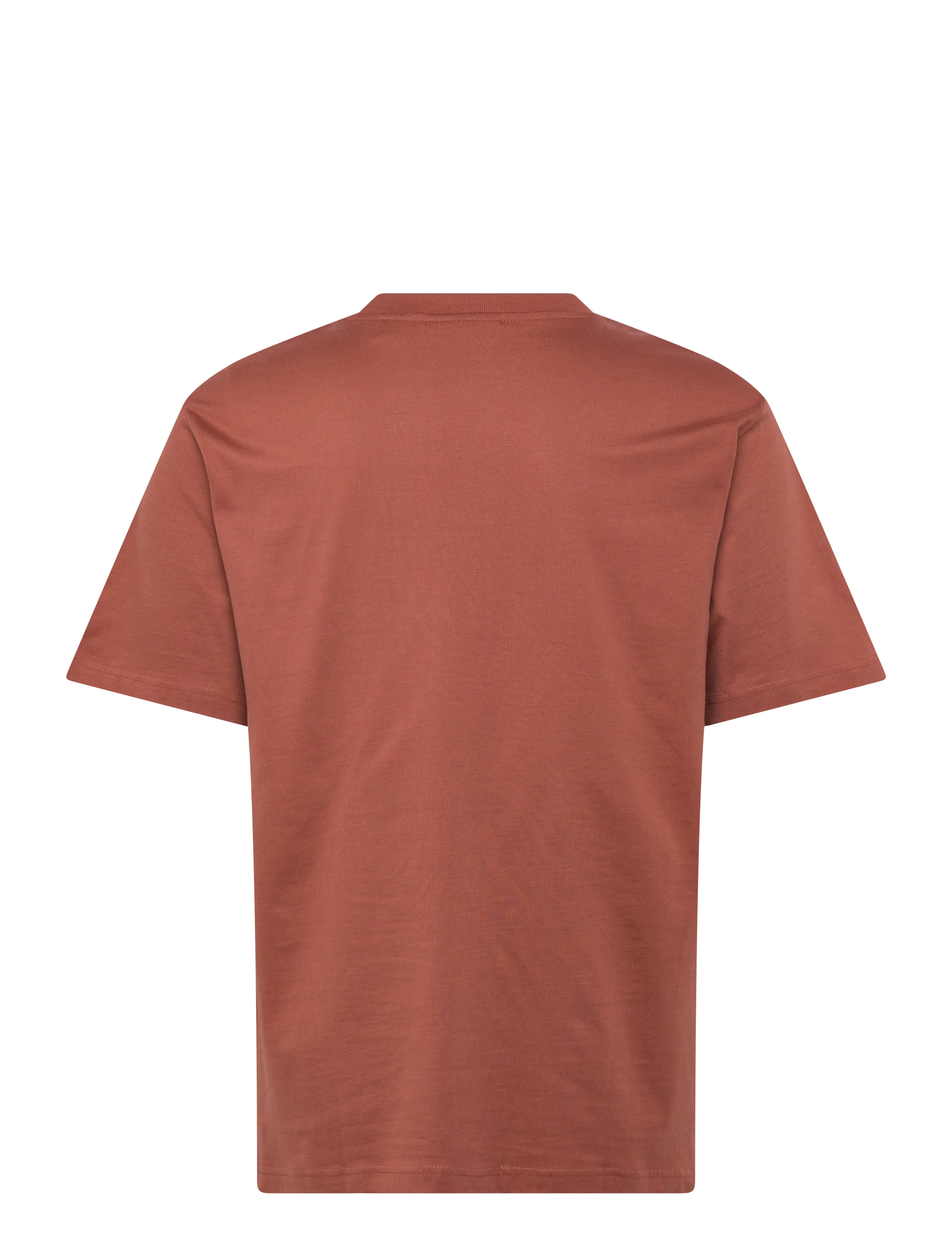 ONLY & SONS - ONSFRED LIFE RLX SS TEE NOOS - kortærmede t-shirts - rustic brown - 2