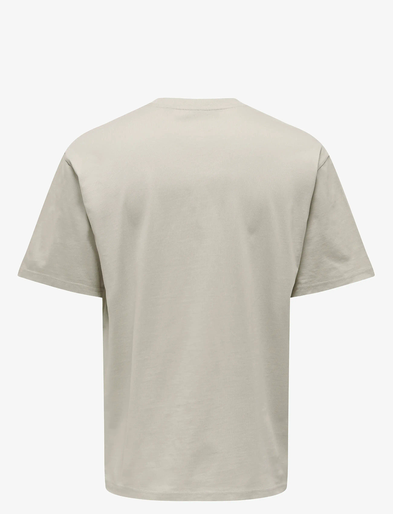 ONLY & SONS - ONSFRED LIFE RLX SS TEE NOOS - short-sleeved t-shirts - silver lining - 2