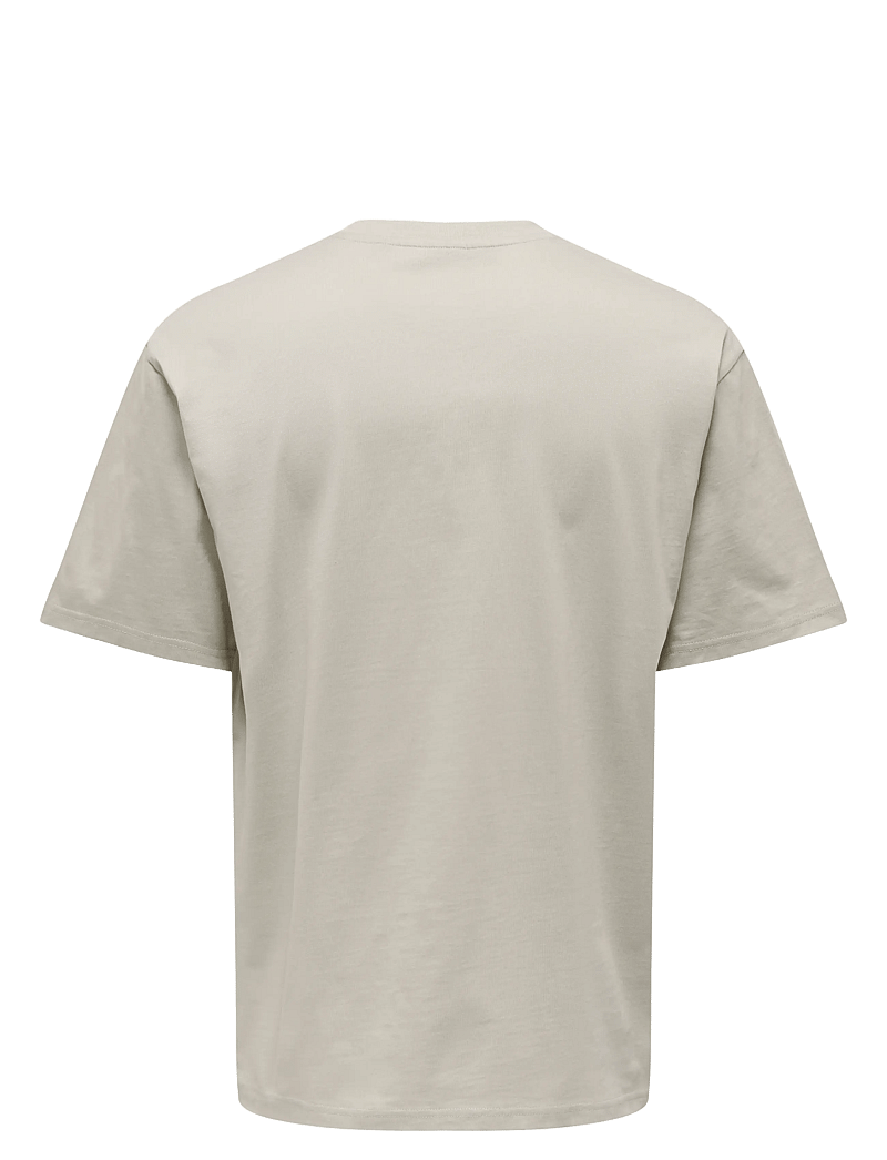 ONLY & SONS - ONSFRED LIFE RLX SS TEE NOOS - short-sleeved t-shirts - silver lining - 2