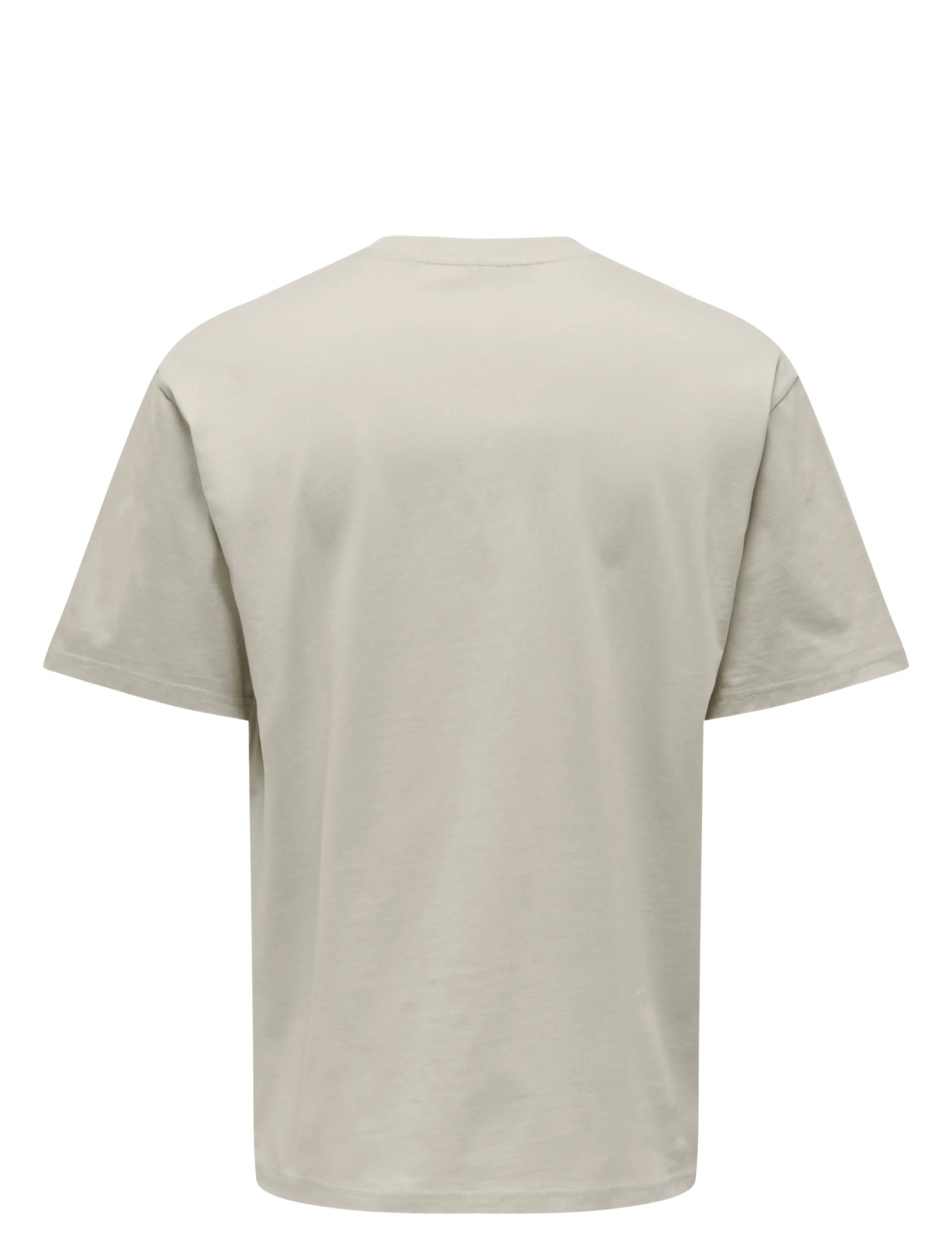 ONLY & SONS - ONSFRED LIFE RLX SS TEE NOOS - kurzärmelig - silver lining - 2