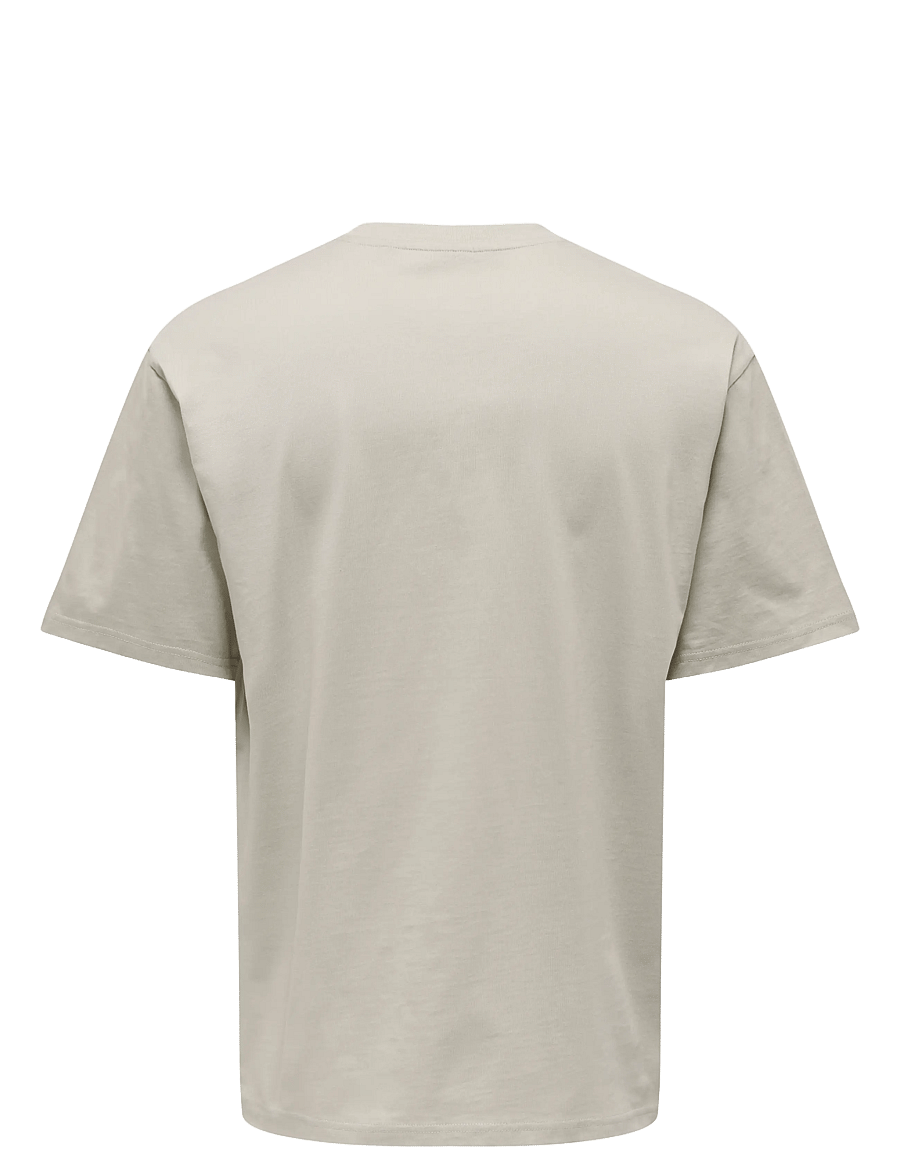 ONLY & SONS - ONSFRED LIFE RLX SS TEE NOOS - lühikeste varrukatega t-särgid - silver lining - 2