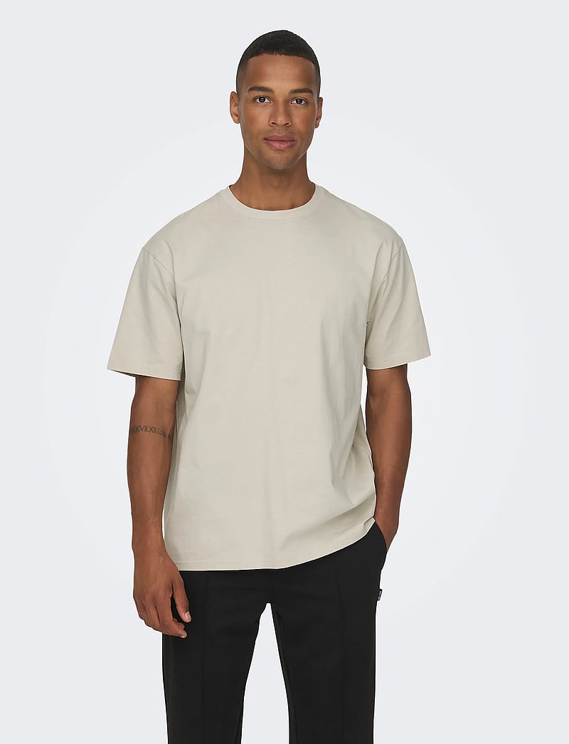 ONLY & SONS - ONSFRED LIFE RLX SS TEE NOOS - short-sleeved t-shirts - silver lining - 0