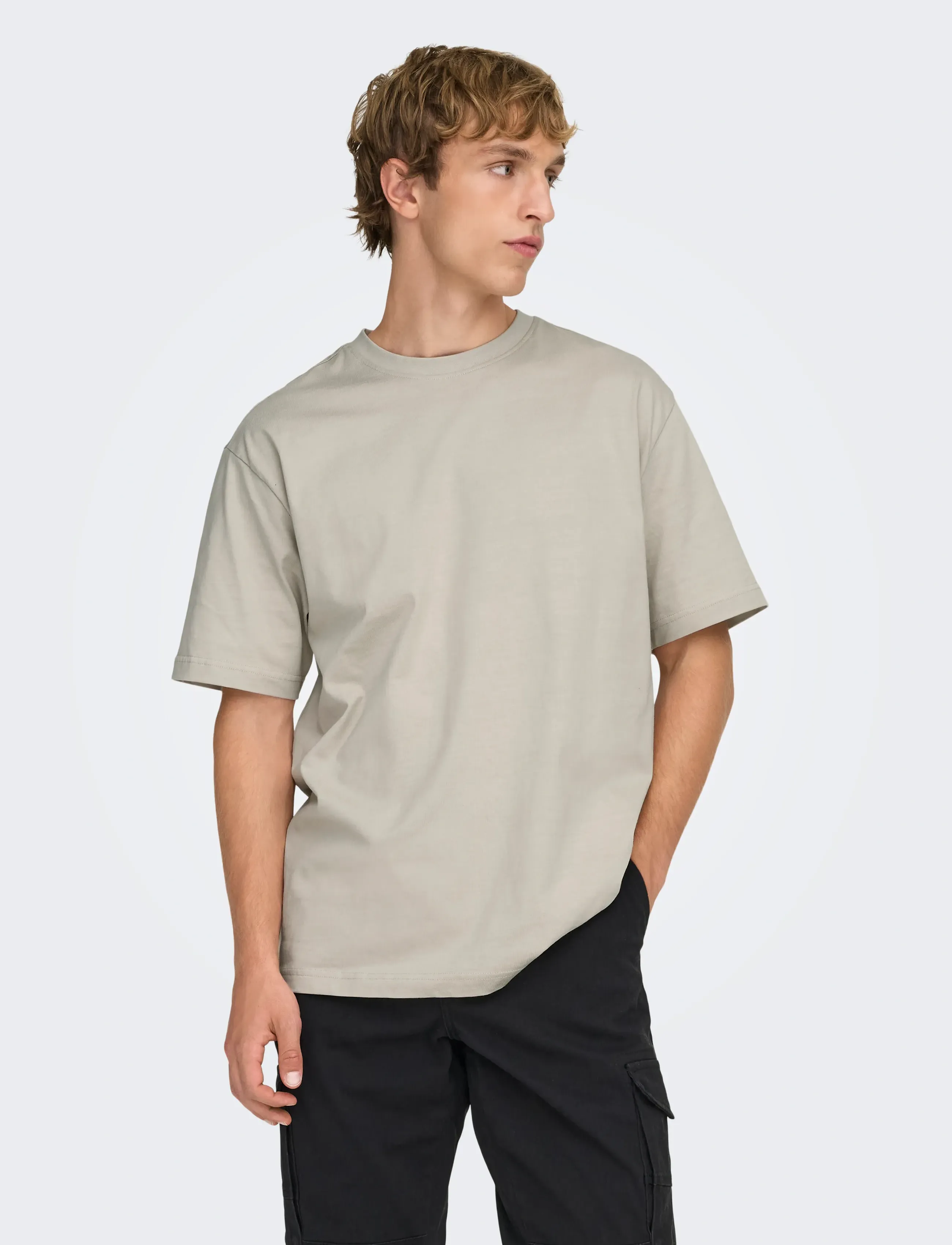ONLY & SONS ONSFRED LIFE RLX SS TEE NOOS - T-shirts - SILVER LINING / beige
