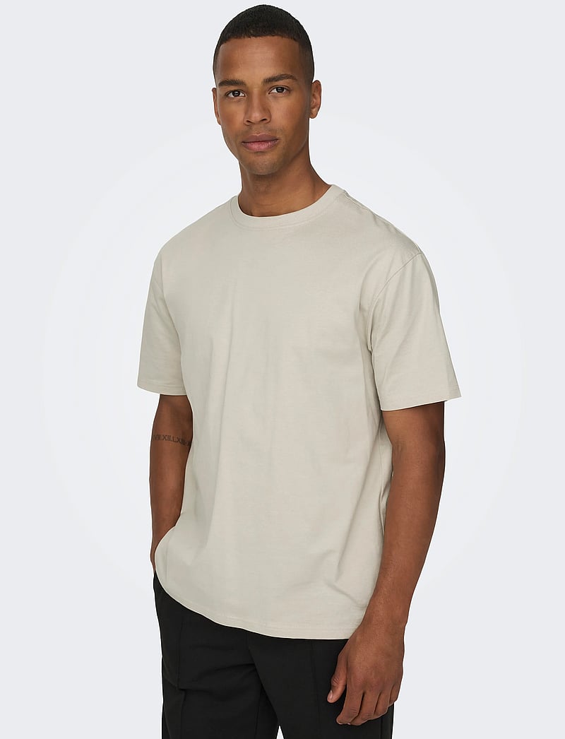 ONLY & SONS - ONSFRED LIFE RLX SS TEE NOOS - short-sleeved t-shirts - silver lining - 5