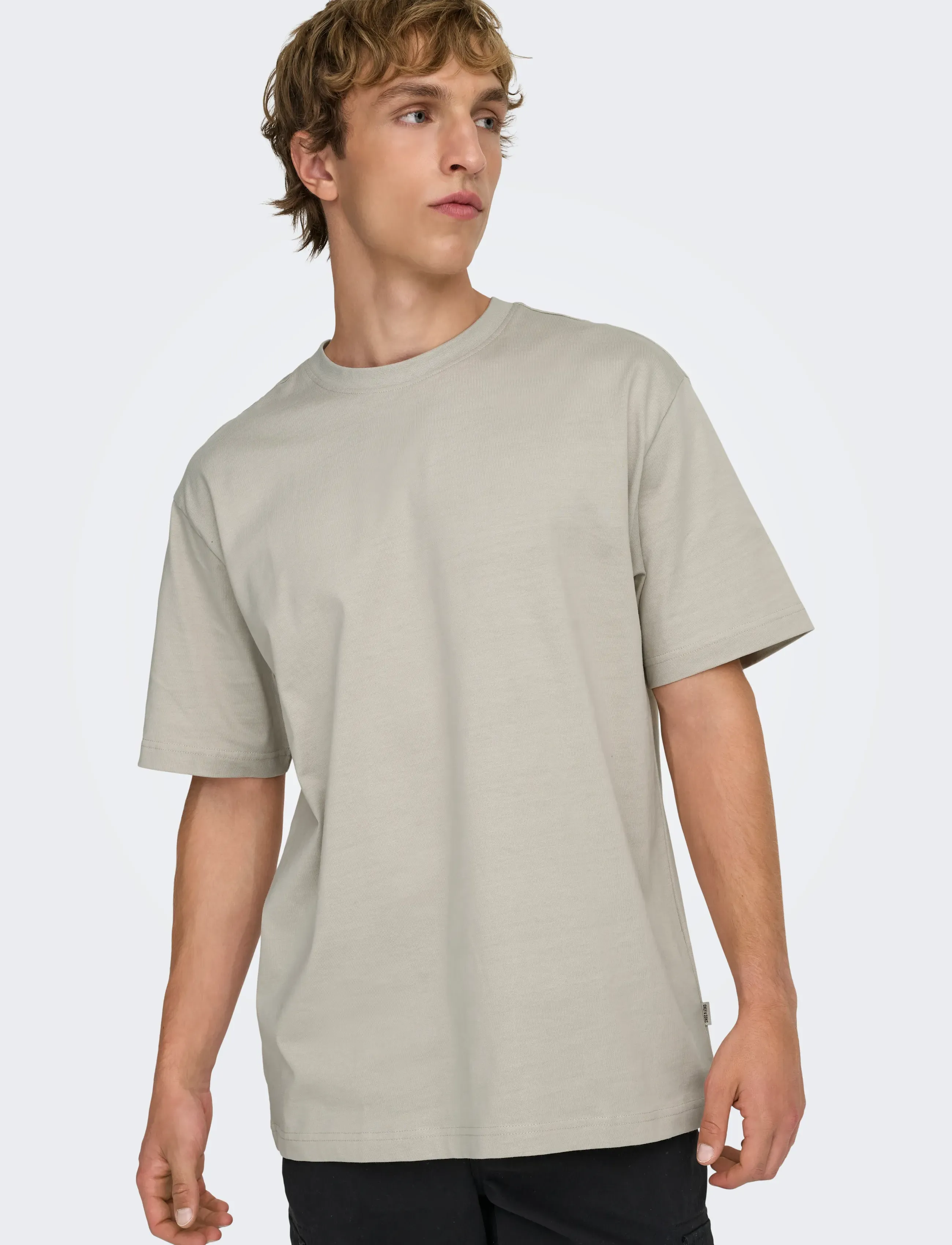 ONLY & SONS - ONSFRED LIFE RLX SS TEE NOOS - kurzärmelig - silver lining - 5