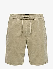 ONLY & SONS - ONSLINUS  LOOSE CORD 3056 SHORT - casual shorts - chinchilla - 0