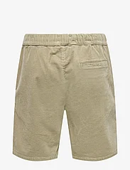 ONLY & SONS - ONSLINUS  LOOSE CORD 3056 SHORT - casual shorts - chinchilla - 1