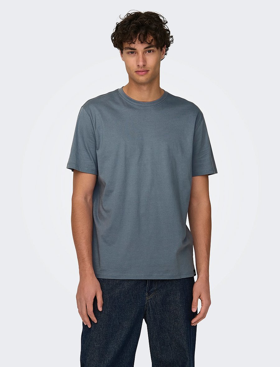 ONLY & SONS - ONSMAX LIFE SS STITCH TEE NOOS - lühikeste varrukatega t-särgid - flint stone - 0