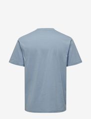 ONLY & SONS - ONSMAX LIFE SS STITCH TEE NOOS - alhaisimmat hinnat - glacier lake - 1