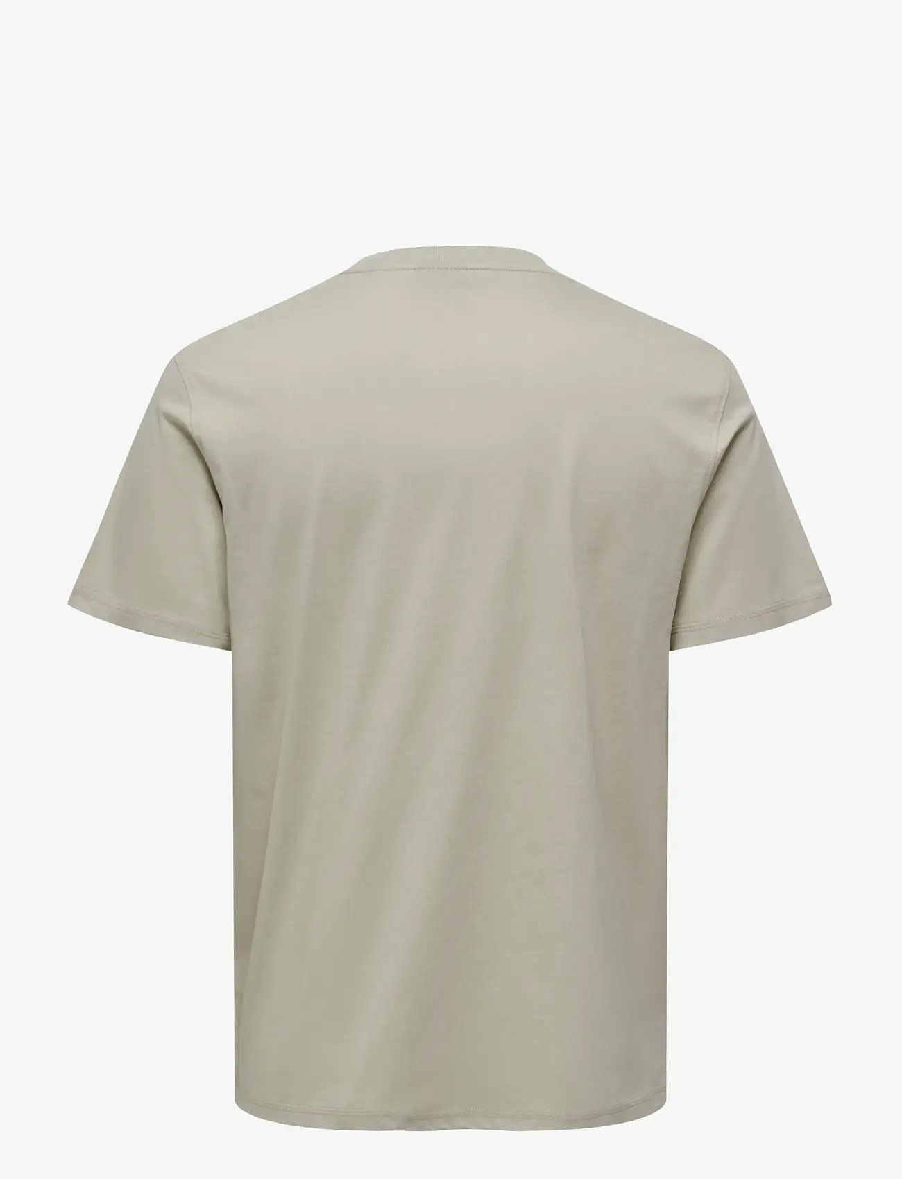 ONLY & SONS - ONSMAX LIFE SS STITCH TEE NOOS - kortærmede t-shirts - silver lining - 2