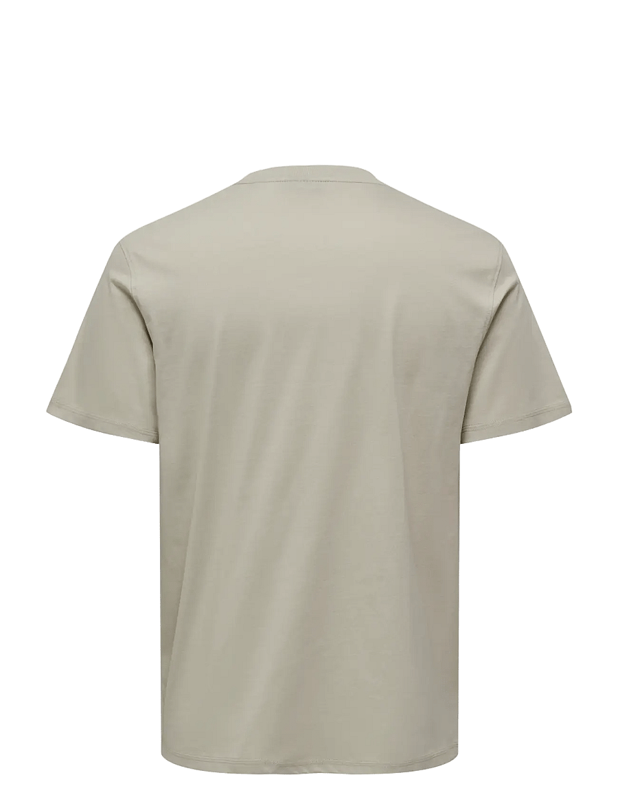 ONLY & SONS - ONSMAX LIFE SS STITCH TEE NOOS - kortärmade t-shirts - silver lining - 2