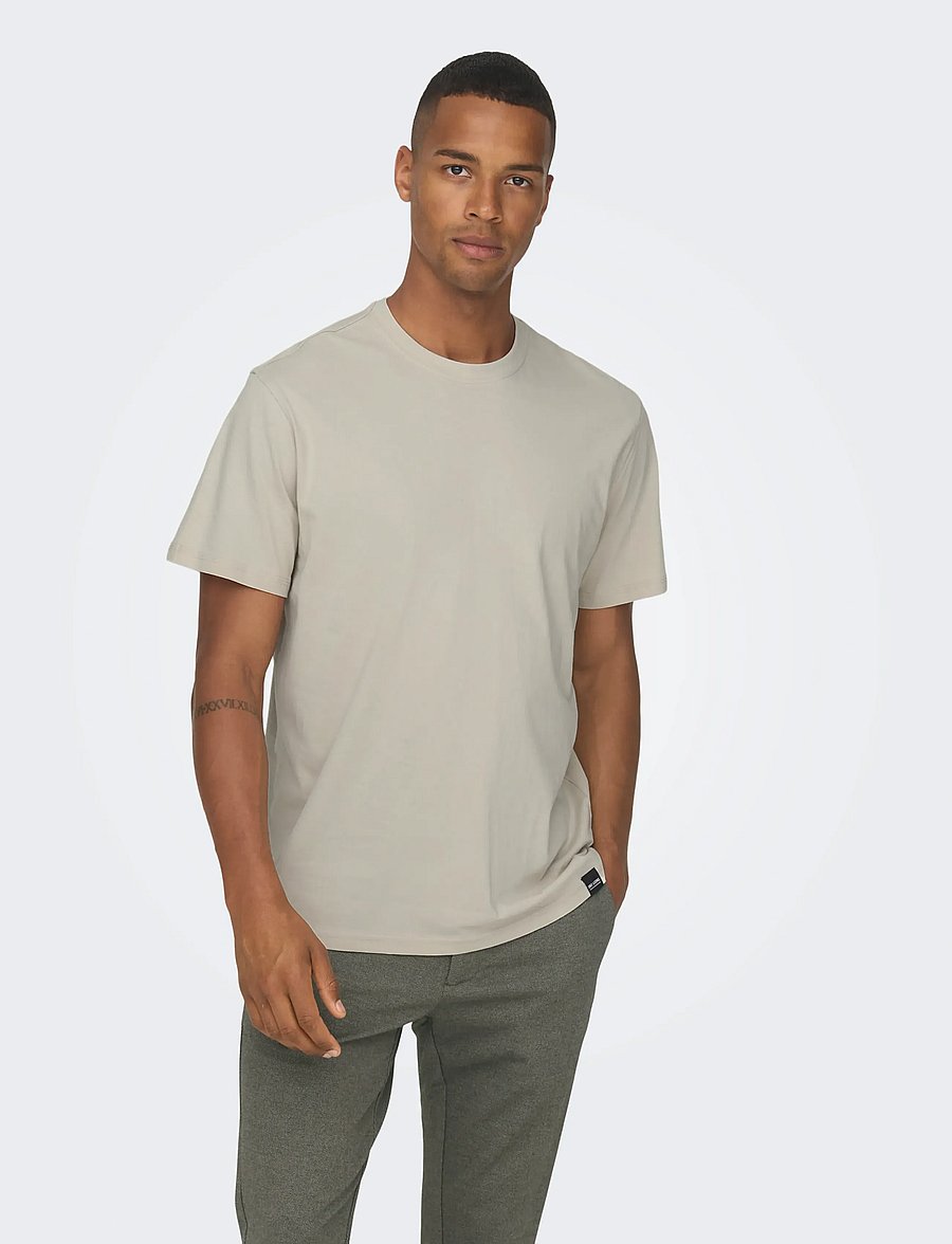 ONLY & SONS - ONSMAX LIFE SS STITCH TEE NOOS - kortärmade t-shirts - silver lining - 0