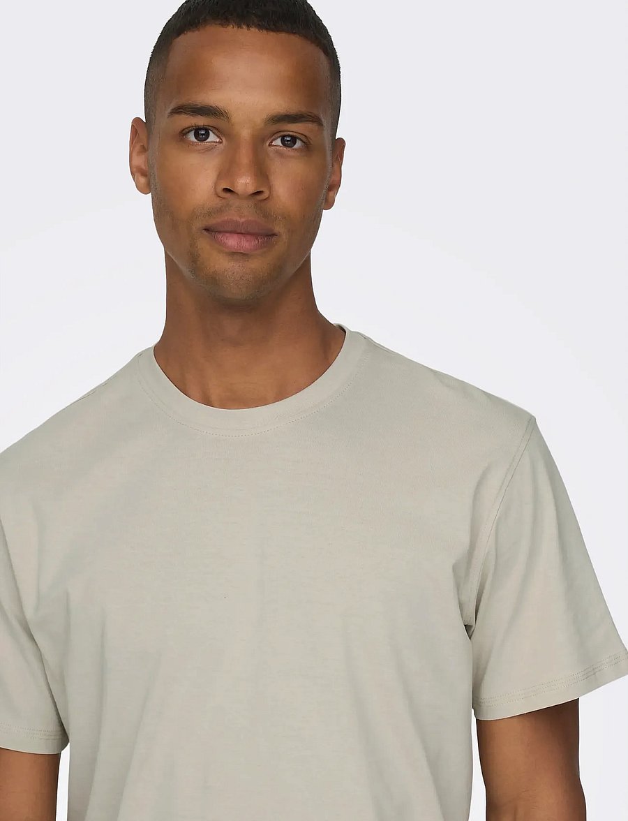 ONLY & SONS - ONSMAX LIFE SS STITCH TEE NOOS - kortärmade t-shirts - silver lining - 5