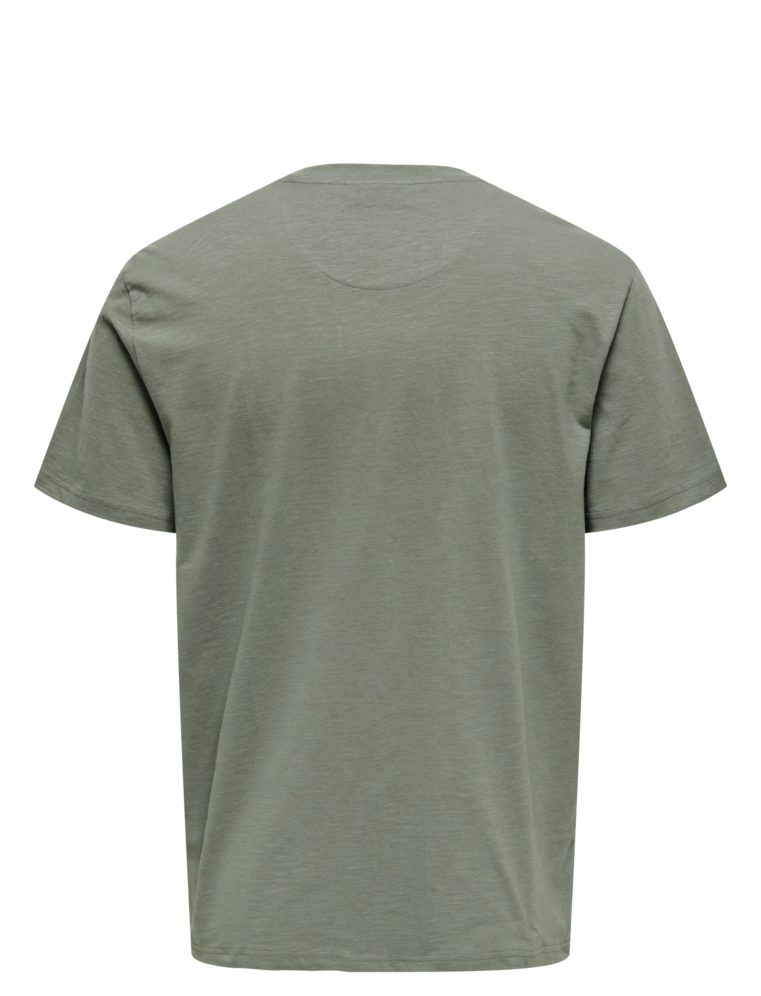 ONLY & SONS - ONSPERRY LIFE REG LEAF SS POCKETTEE NOOS - kurzärmelig - castor gray - 2