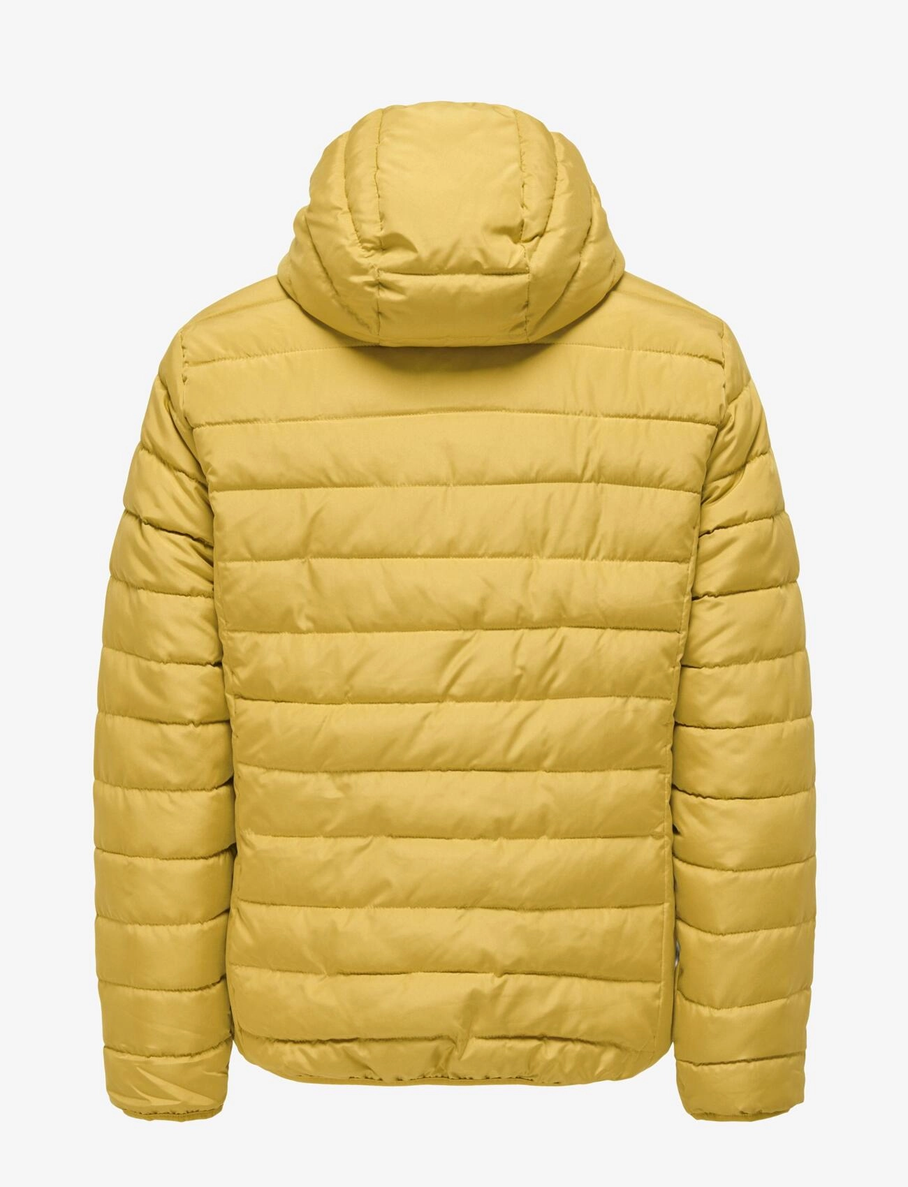 ONLY & SONS - ONSBRON HOOD QUILT JACKET OTW VD - harvest gold - 2