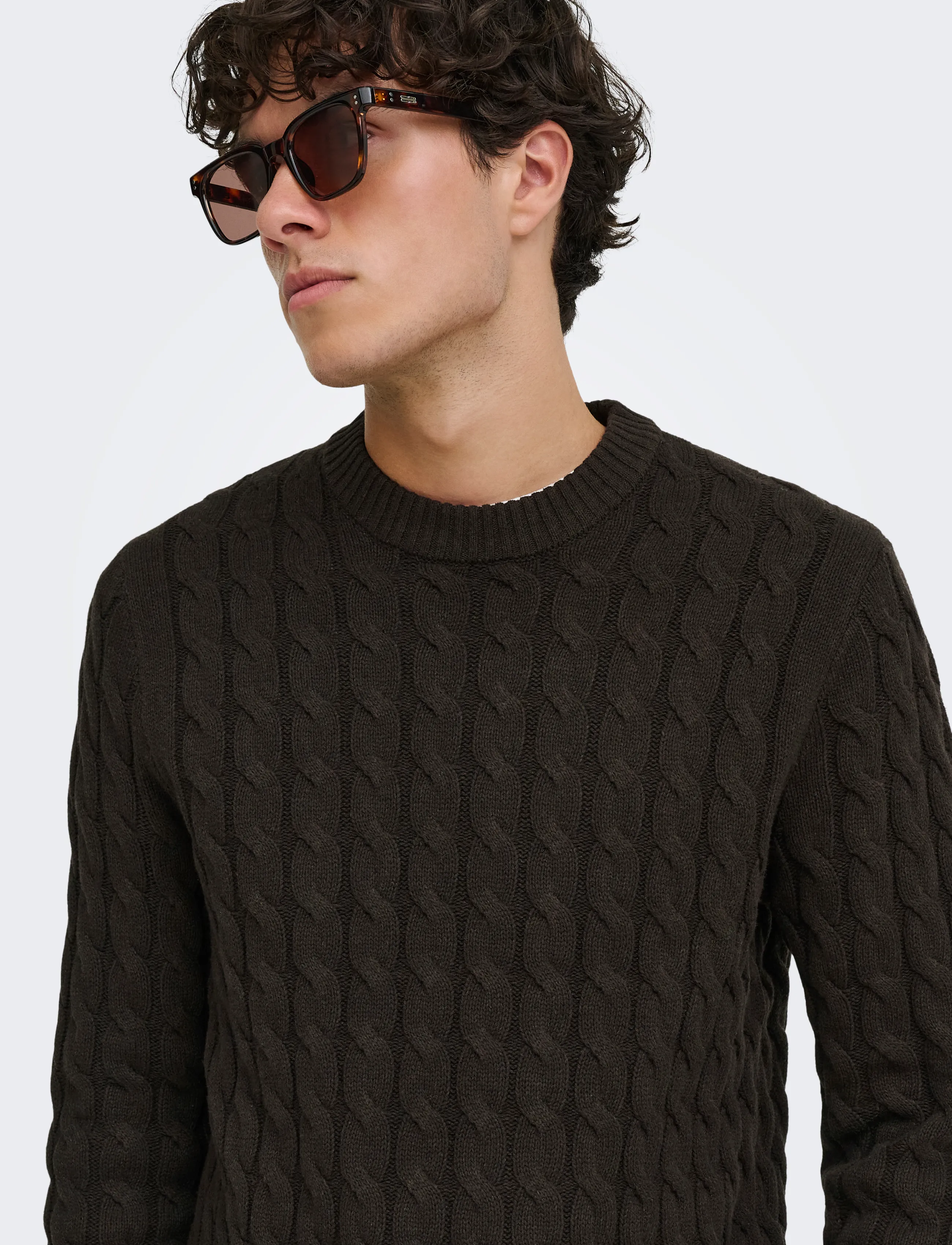 ONLY & SONS - ONSKICKER REG 3 CABLE CREW KNIT - rund hals - coffee bean - 5