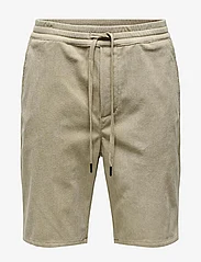 ONLY & SONS - ONSLINUS CORDUROY 0111 SHORTS - lowest prices - chinchilla - 0