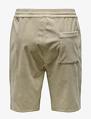 ONLY & SONS - ONSLINUS CORDUROY 0111 SHORTS - lowest prices - chinchilla - 1