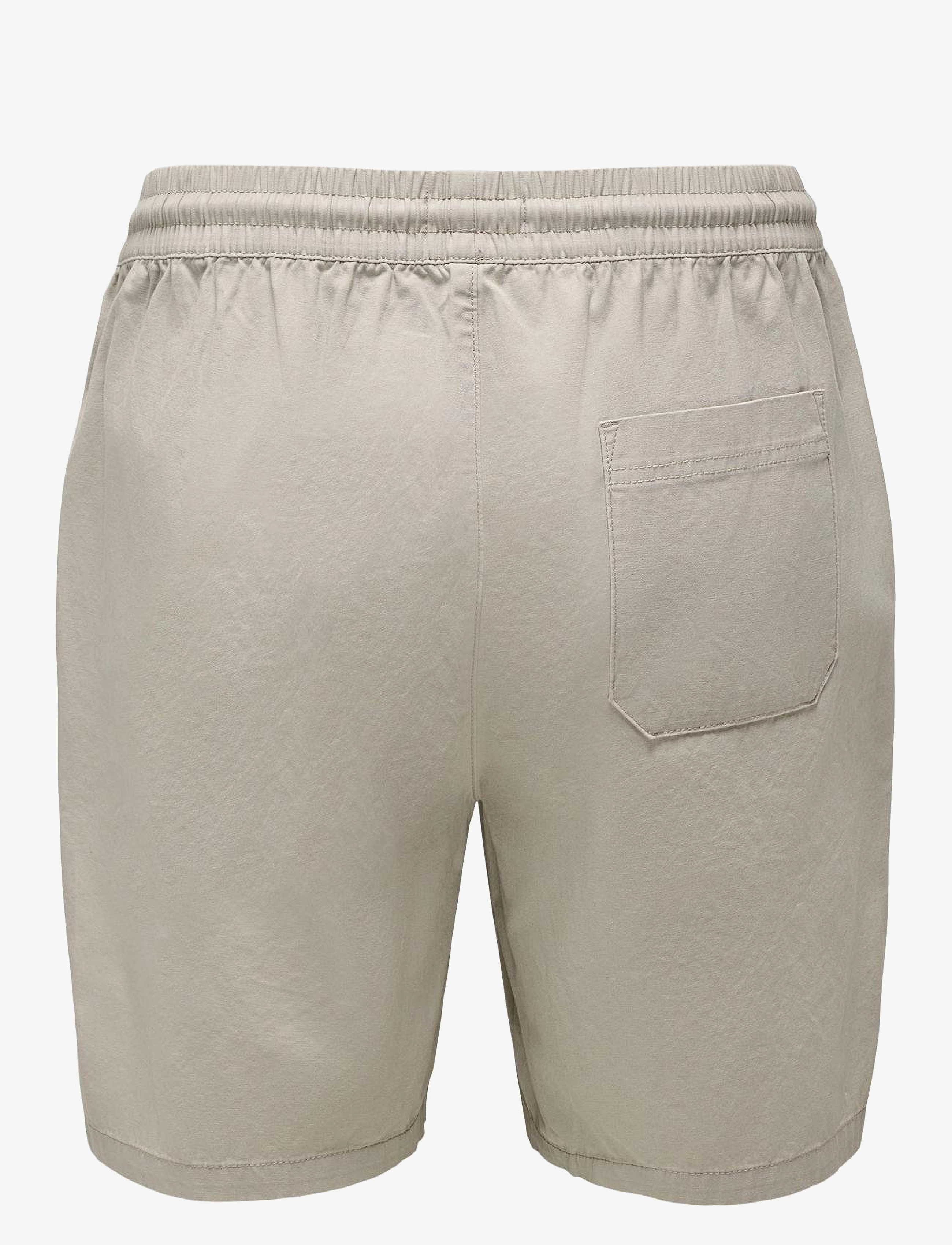 ONLY & SONS - ONSTEL LIFE 0119 SHORTS NOOS - lühikesed vabaajapüksid - silver lining - 2