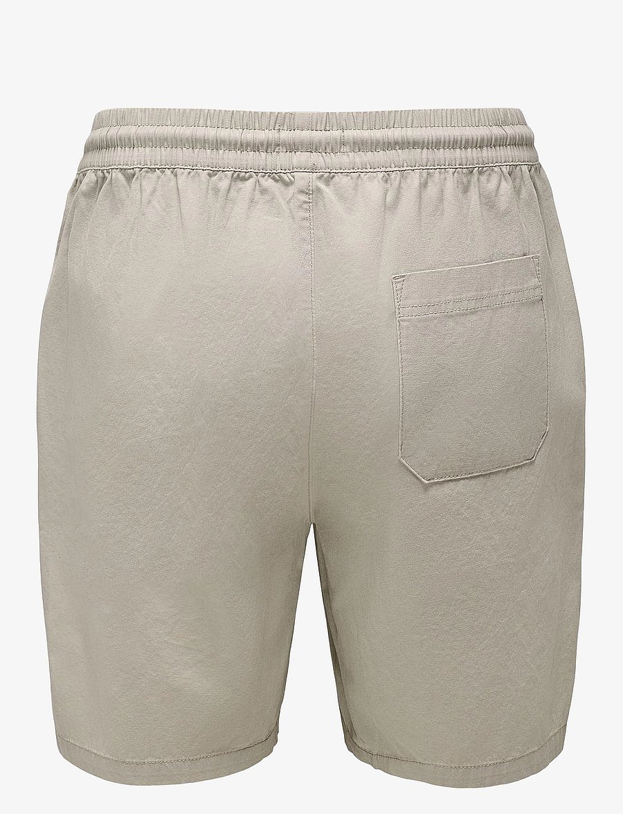 ONLY & SONS - ONSTEL LIFE 0119 SHORTS NOOS - lühikesed vabaajapüksid - silver lining - 2