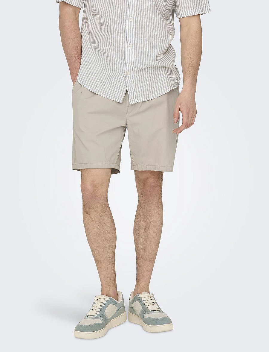 ONLY & SONS - ONSTEL LIFE 0119 SHORTS NOOS - lühikesed vabaajapüksid - silver lining - 0