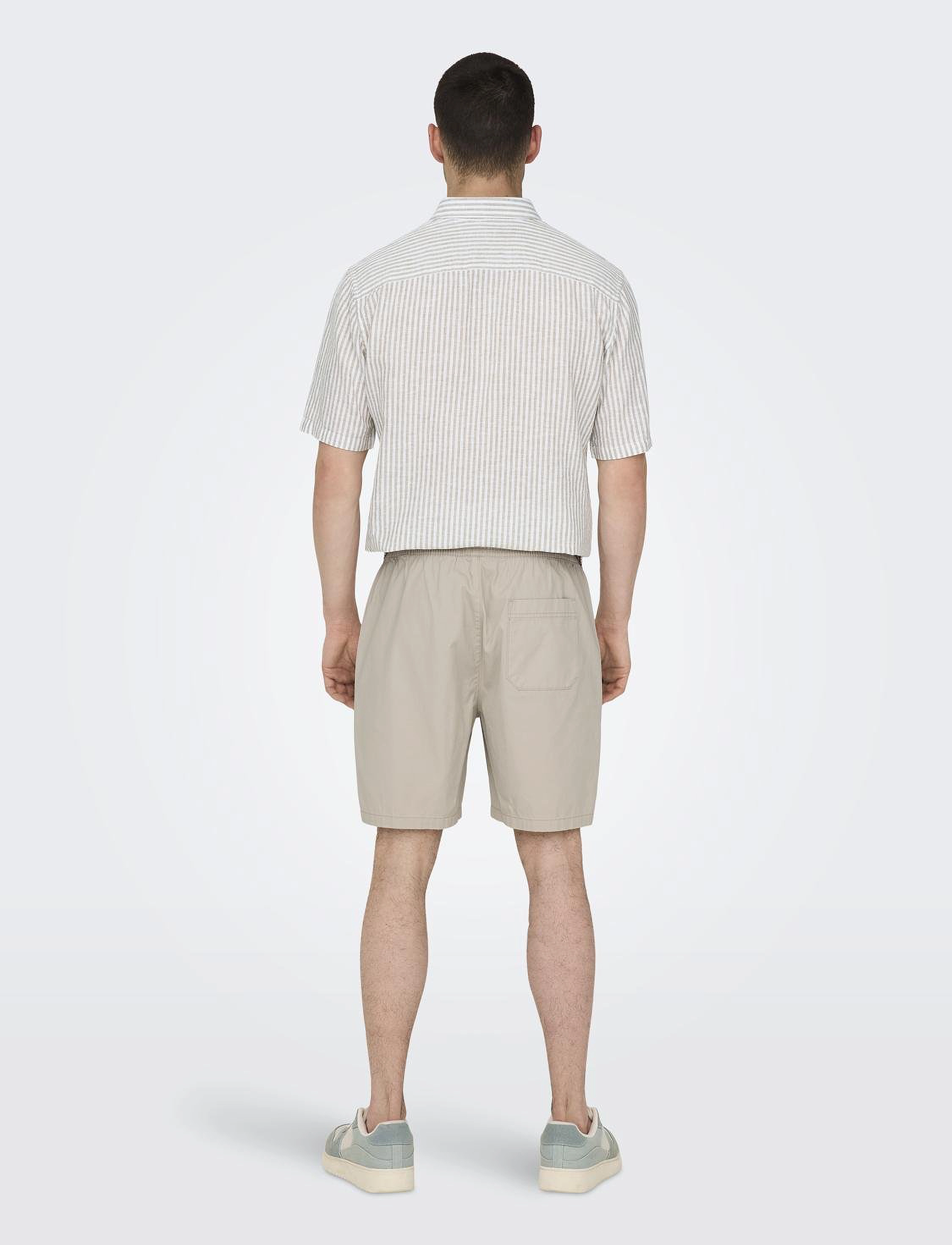 ONLY & SONS - ONSTEL LIFE 0119 SHORTS NOOS - lühikesed vabaajapüksid - silver lining - 3