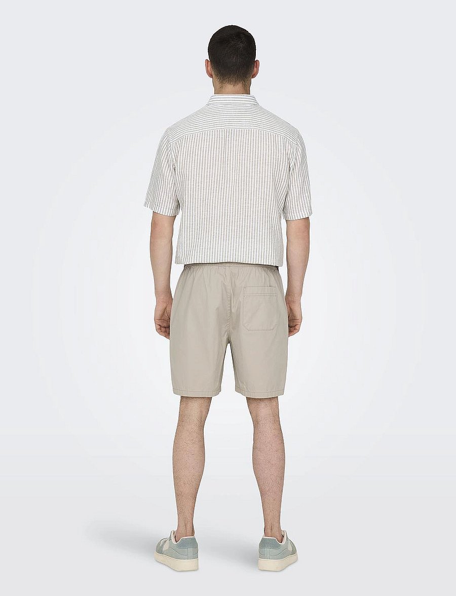 ONLY & SONS - ONSTEL LIFE 0119 SHORTS NOOS - lühikesed vabaajapüksid - silver lining - 3