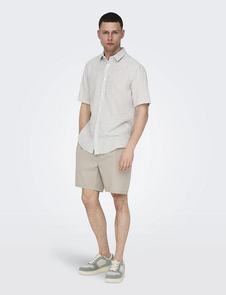 ONLY & SONS - ONSTEL LIFE 0119 SHORTS NOOS - lühikesed vabaajapüksid - silver lining - 5