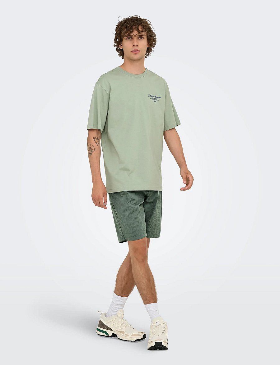 ONLY & SONS - ONSLEO LIFE 0009 SEERSUCKER SHORTS NOOS - freizeitshorts - castor gray - 5