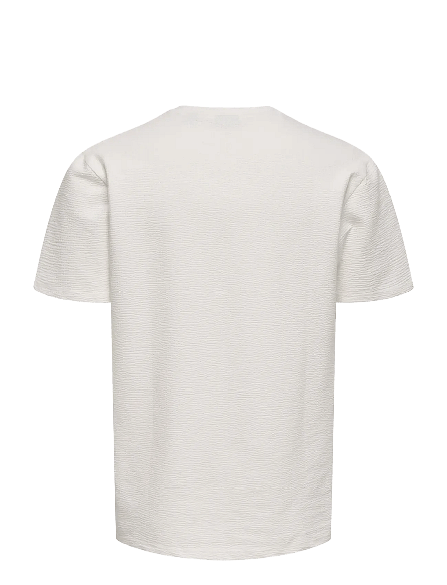 ONLY & SONS - ONSKIAN LIFE REG SEERSUCKER SS TEE NOOS - kortærmede t-shirts - cloud dancer - 2