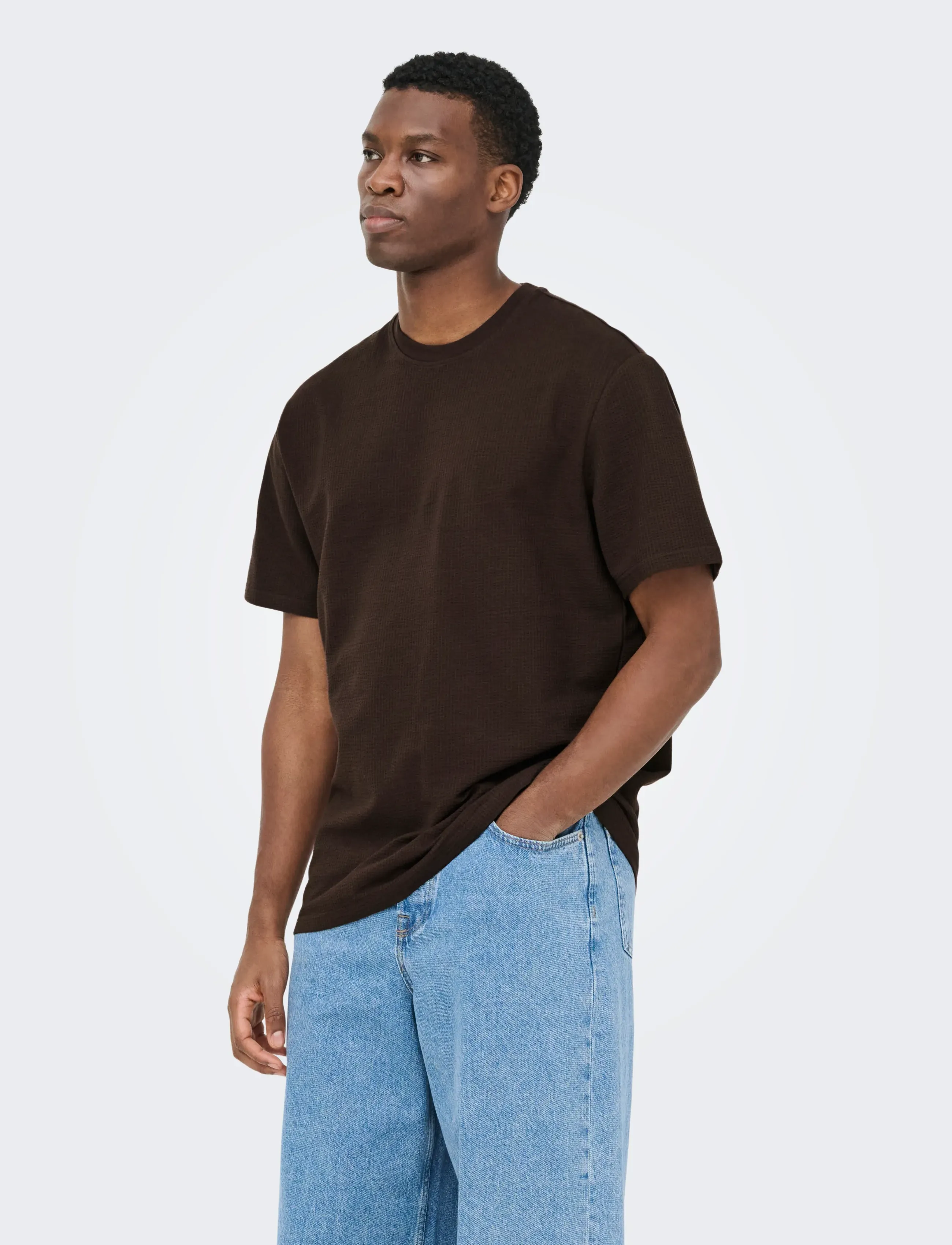 ONLY & SONS ONSKIAN LIFE REG SEERSUCKER SS TEE NOOS - Kleidung - COFFEE BEAN / brown