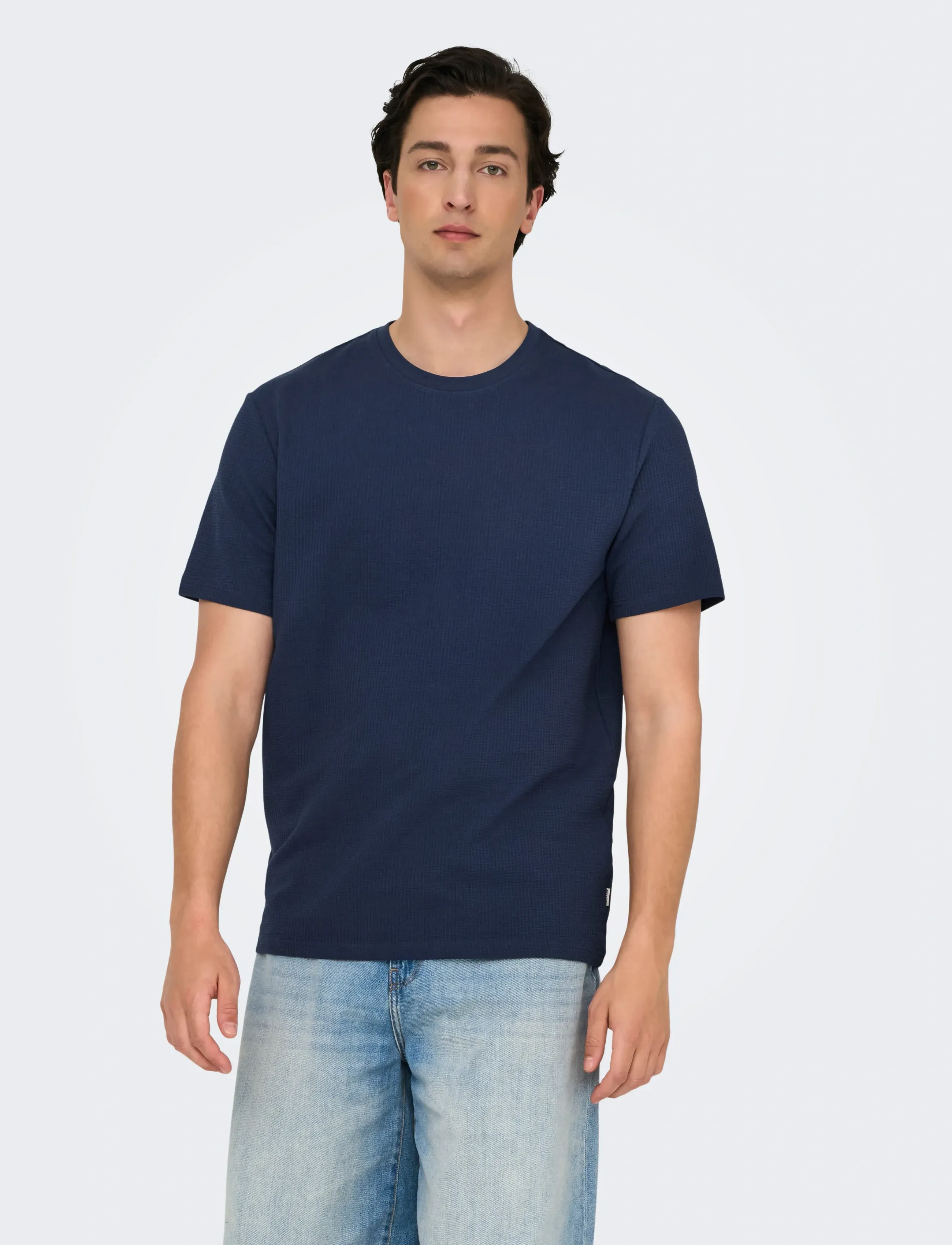 ONLY & SONS Onskian Life Reg Seersucker Ss Tee Noos, XS, Navy, T-Shirts > Kortærmede, Herre