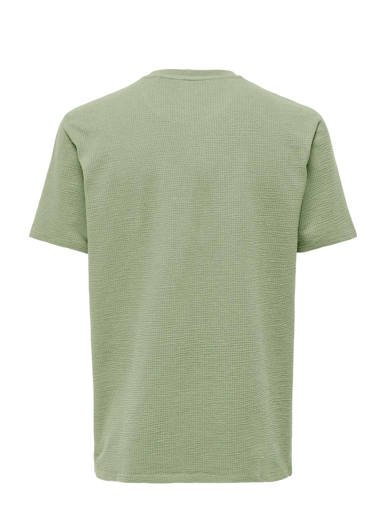 ONLY & SONS - ONSKIAN LIFE REG SEERSUCKER SS TEE NOOS - kortærmede t-shirts - seagrass - 2
