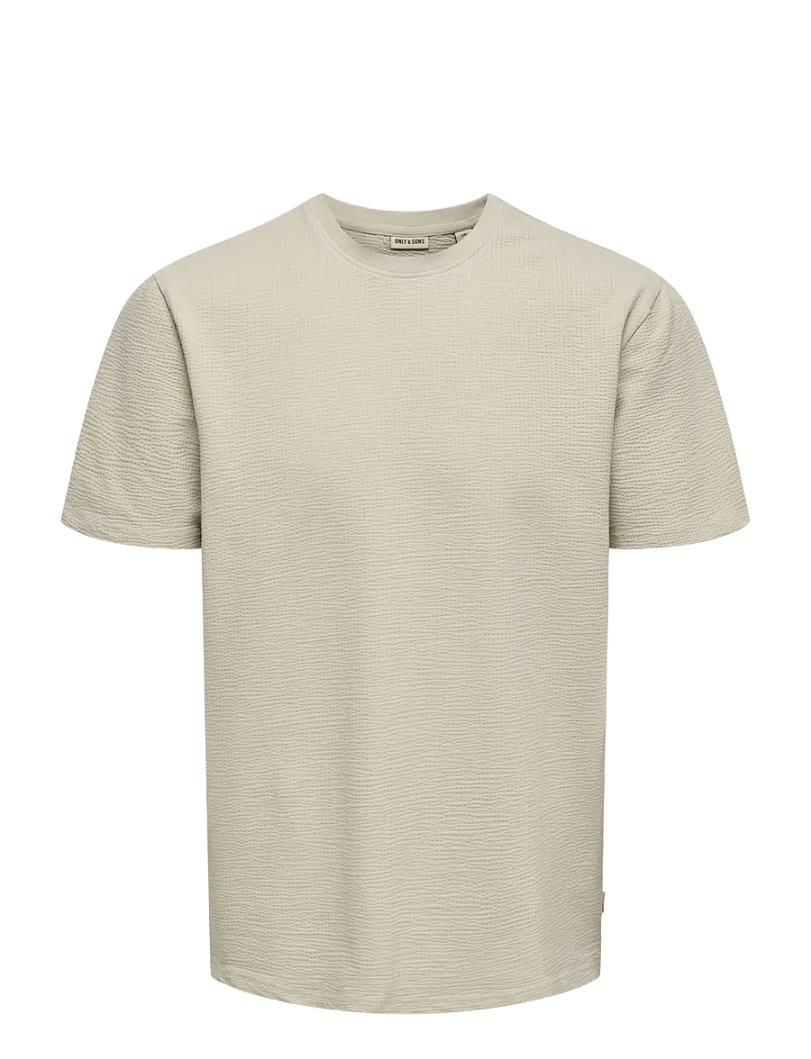 ONLY & SONS - ONSKIAN LIFE REG SEERSUCKER SS TEE NOOS - kortærmede t-shirts - silver lining - 1